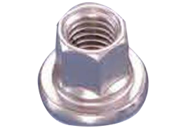 Stainless Nut